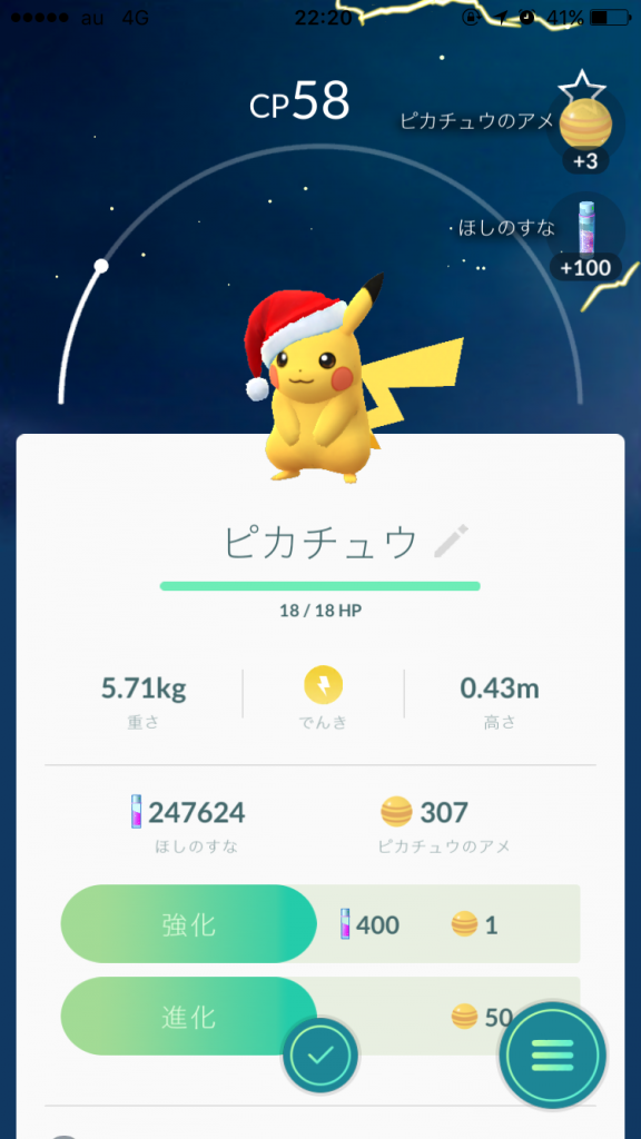 サンタピカ