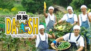 【芸能】イチゴ農家「TOKIOの鉄腕DASHを見て品種開発した」と明かすwww